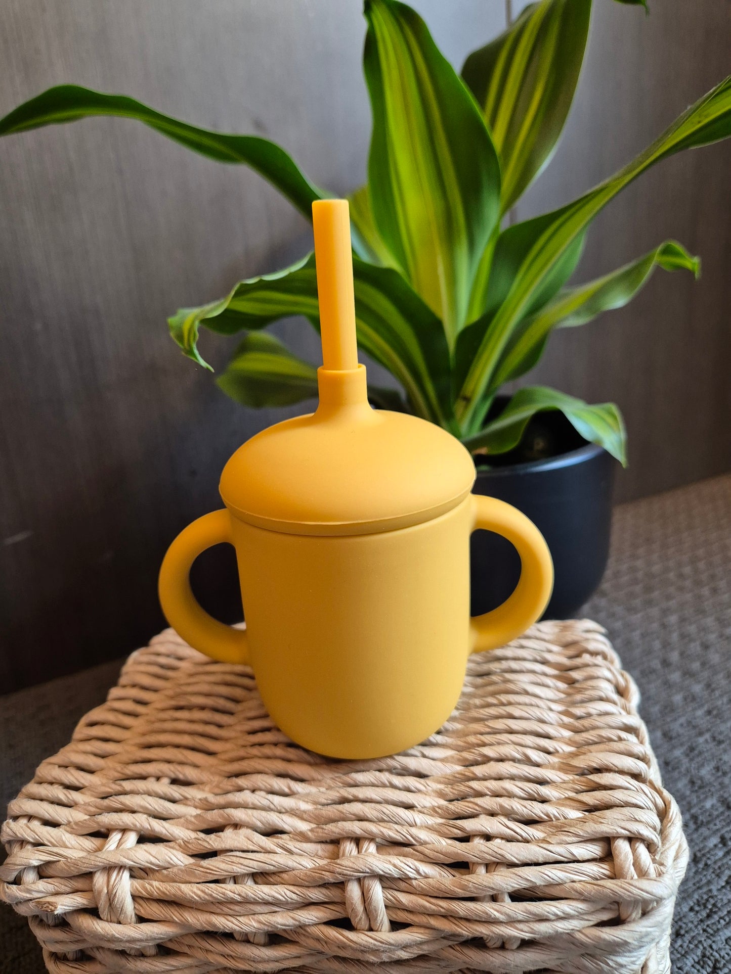 Silicone sippy + straw cups